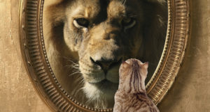 cat-lion - title